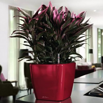 Lechuza Květináč Quadro LS Scarlet 28 cm – Zboží Dáma