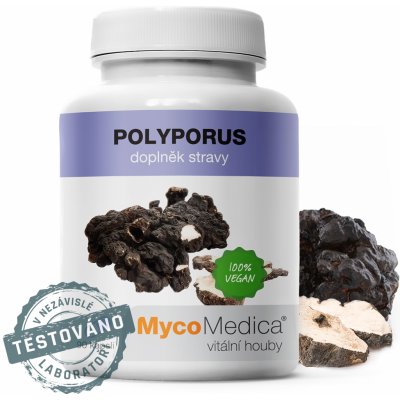 Polyporus Polyporus umbellatus MycoMedica TCM POINT 90 tablet