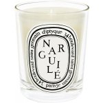 Diptyque Narguile 190 g – Hledejceny.cz