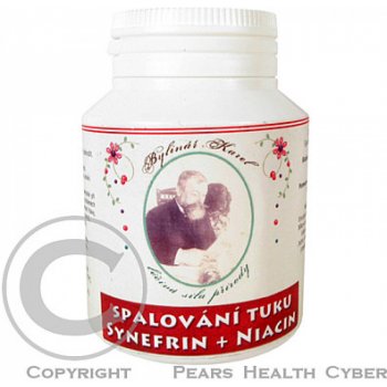 Zentrychova Apatyka Synefrin + Niacin 100 tablet