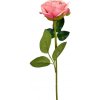 Květina Růže růžová balení 5 ks, 50 cm