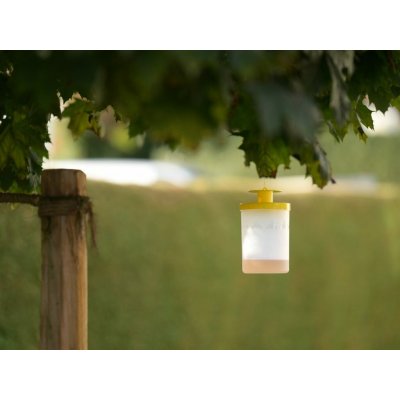 Lapač much FlyCage3 včetně návnady 25g – Sleviste.cz