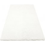 Nej-koberce Destiny Shaggy Dreamland 60 krémový – Hledejceny.cz