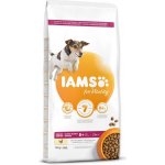 Iams Dog Senior Small & Medium s kuřecím masem 12 kg – Hledejceny.cz