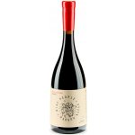 Wine people Muscat Hamburg Tavkveri 2022 suché 13,2% 0,75 l (holá láhev) – Hledejceny.cz