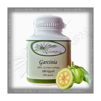 Ex Herbis Garcinia cambogia 100 tb.