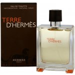 Hermès Terre D'Hermes toaletní voda pánská 100 ml – Hledejceny.cz