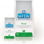 Vet Life Cat Renal 0,4 kg – Hledejceny.cz