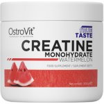 OstroVit Creatine Monohydrate, 300 g – Zboží Mobilmania