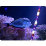 Aquael Leddy Tube Plant 2.0 10 W 42 cm – Sleviste.cz