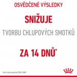Royal Canin Hairball Care 0,4 kg – Zboží Dáma