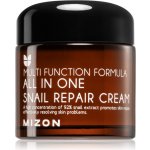 MIZON ALL IN ONE SNAIL REPAIR CREAM 75 ml – Hledejceny.cz