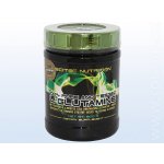 Scitec Nutrition L-Glutamine 600 g – Zboží Mobilmania