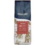 BianCaffé Intenso zrnková 1 kg – Hledejceny.cz