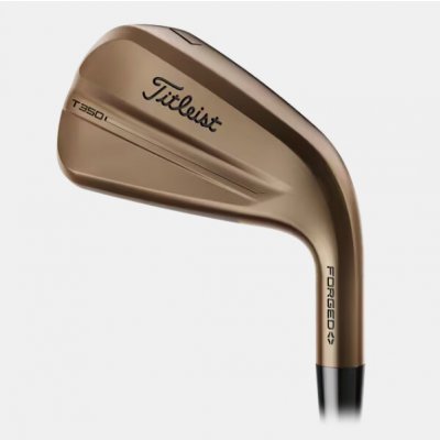 Titleist T350 4G Oil Can set pravý 5-PW,GW ocel Regular – Sleviste.cz