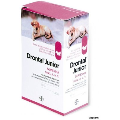 best furniture to have with dogs