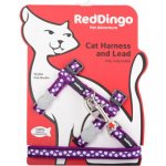 Red Dingo postroj s vodítkem pro kočky White Spots on Purple 12 mm – Sleviste.cz