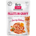 Brit Care Cat Fillets in Gravy Savory Salmon 85 g – Zbozi.Blesk.cz