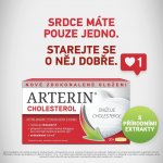 Arterin Cholesterol 90 tablet – Zboží Mobilmania