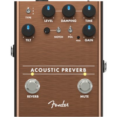 Fender Acoustic Preverb