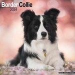 Border Collie Square Dog Breed Wall 16 Month 2024 – Hledejceny.cz