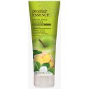 Desert Essence sprchový gel ze zeleného jablka a zázvoru 236 ml