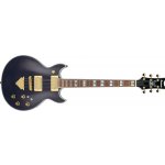 Ibanez AR320-MBM – Hledejceny.cz