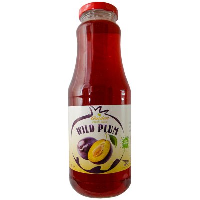 Georgian Švestkový 100% džus Nectar 1 l – Zbozi.Blesk.cz