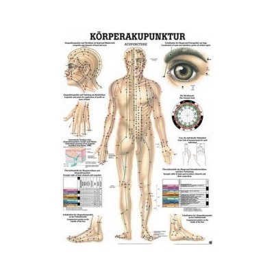 Rüdiger-Anatomie Naučný plakát Akupunktura těla – Zboží Mobilmania