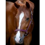 HorseGuard Ohlávka Malva Růžová – Zboží Dáma