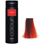 Subrina Direct Colour Red Gelová barva na vlasy červená 200 ml – Zboží Mobilmania