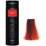 Subrina Direct Colour Red Gelová barva na vlasy červená 200 ml – Hledejceny.cz