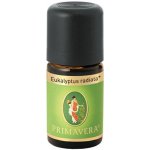 Primavera Eukalyptus Radiata BIO 5 ml – Hledejceny.cz