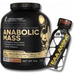 Kevin Levrone ANABOLIC MASS 3000 g – Zbozi.Blesk.cz