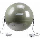 LiveUp gymball s expandery 65 cm