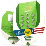 Royal Queen seeds Sherbet Queen Automatic semena neobsahují THC 5 ks – Zboží Dáma