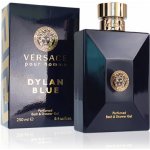 Versace Pour Homme Dylan Blue sprchový gel 250 ml – Hledejceny.cz