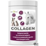 Dromy Collagen 2,5 kg – Sleviste.cz