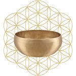 Meinl Synthesis Series Flower of Life Singing Bowl 1000g SB-S-FOL-1000 – Hledejceny.cz