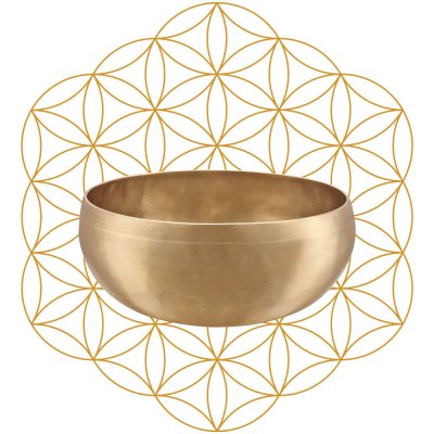 Meinl Synthesis Series Flower of Life Singing Bowl 1000g SB-S-FOL-1000 – Hledejceny.cz