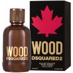 Dsquared2 Wood pour Homme pánská toaletní voda 100 ml