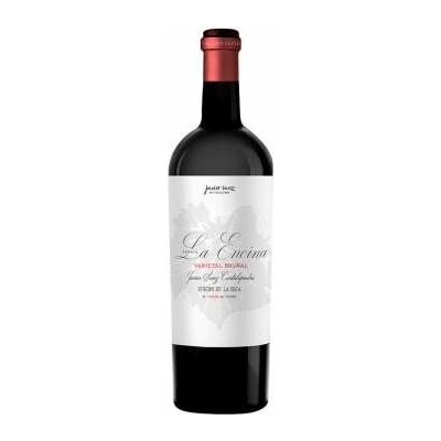 Javier Sanz Viticultor Paraje la Encina suché červené 2022 13,8% 0,75 l (holá láhev) – Hledejceny.cz