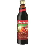 Rabenhorst Šťáva B- Aktiv recept dle Breusse Bio 0,75 l – Zboží Dáma