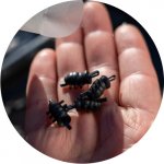 One More Cast Lock Hook Barbed vel.4 10 ks – Sleviste.cz