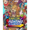 Hra na PC Capcom Fighting Collection