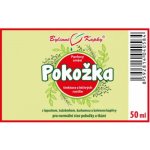 Bylinné kapky Pokožka Akné bylinné kapky tinktura 50 ml – Hledejceny.cz