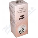 Herba Vitalis Hloh obecný 40 ml