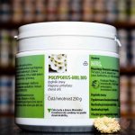 MRL Coriolus MRL biomasa 250 g – Hledejceny.cz
