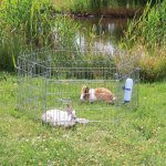 Trixie Ohrádka 6 dílů á 63 x 60 cm – Zboží Dáma