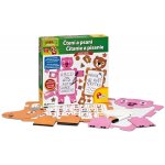 Lisciani Čtení a psaní – Zboží Živě